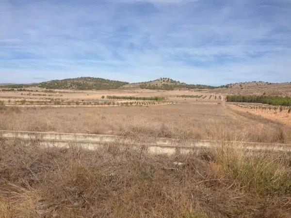Terreno en el carabasí (los rosales) photo 3