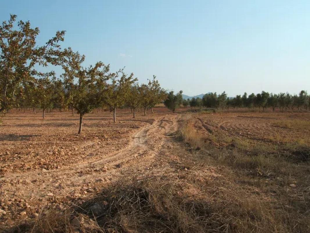 Terreno en venta en Biar, Alicante photo 1