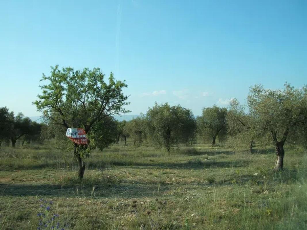 Участок земли на продажу в Биар, Аликанте photo 1