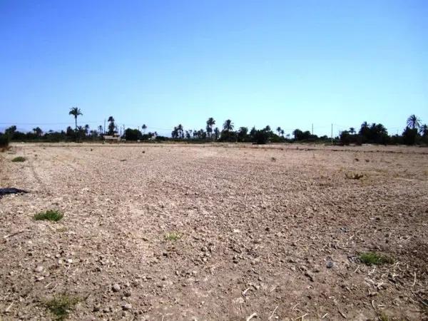 Terreno en Dolores photo 1