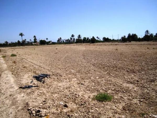 Terreno en Dolores photo 4