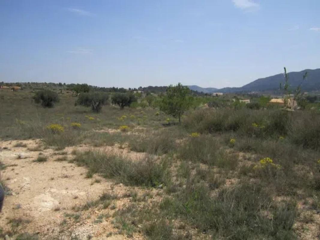 Land for sale in La Romana, Alicante photo 1