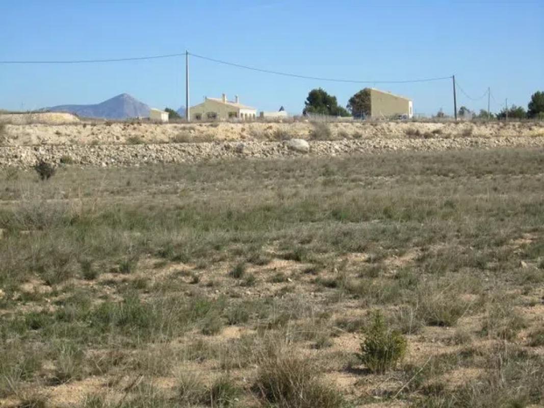 Terreno en venta en La Romana, Alicante photo 2