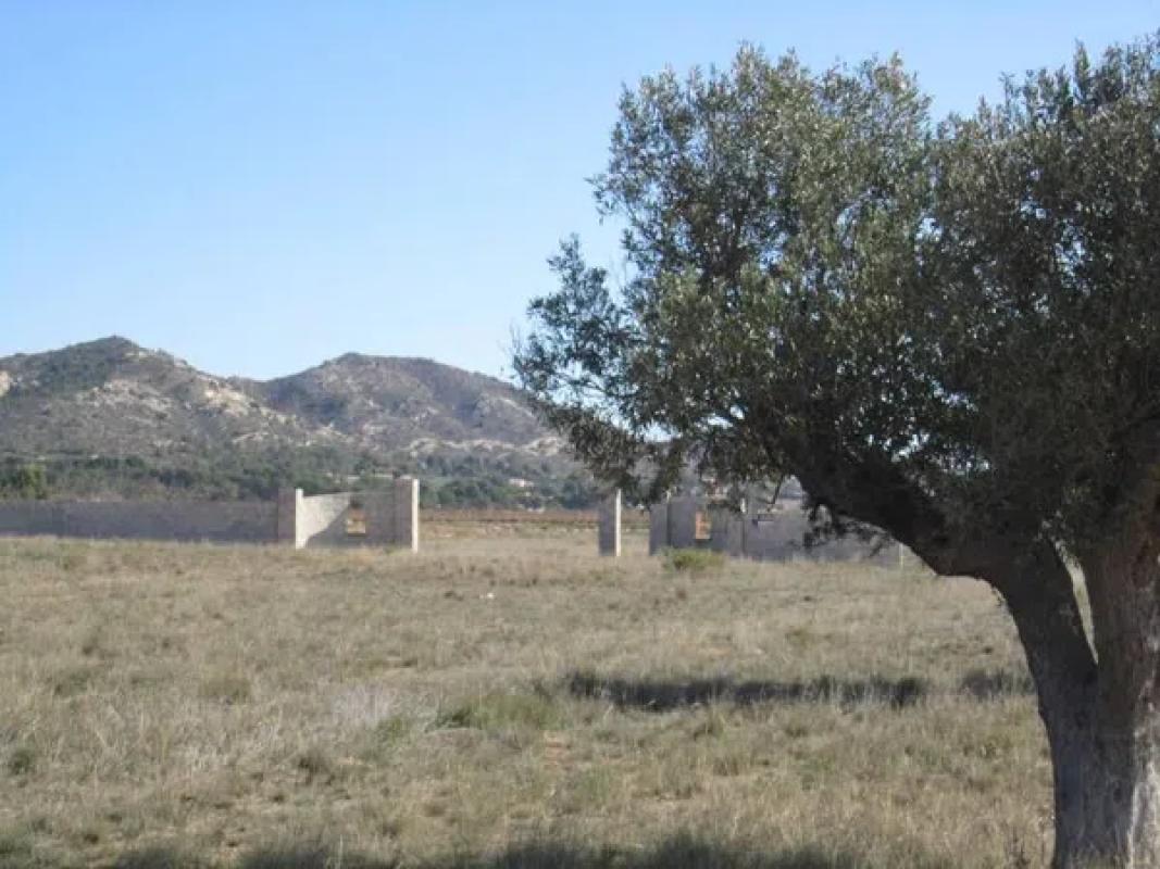 Terreno en venta en La Romana, Alicante photo 3