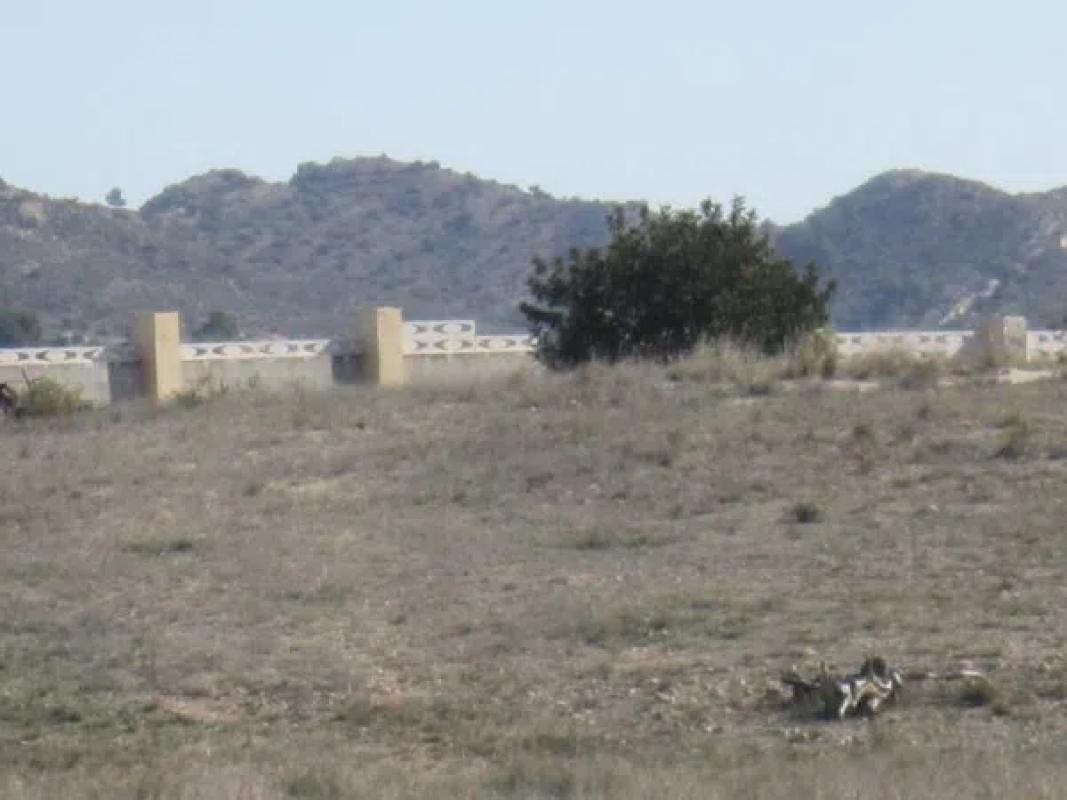 Terreno en venta en La Romana, Alicante photo 4