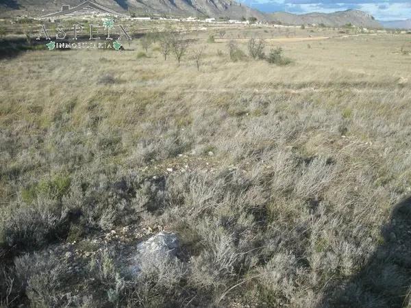 Terreno en Hondón de los Frailes photo 1