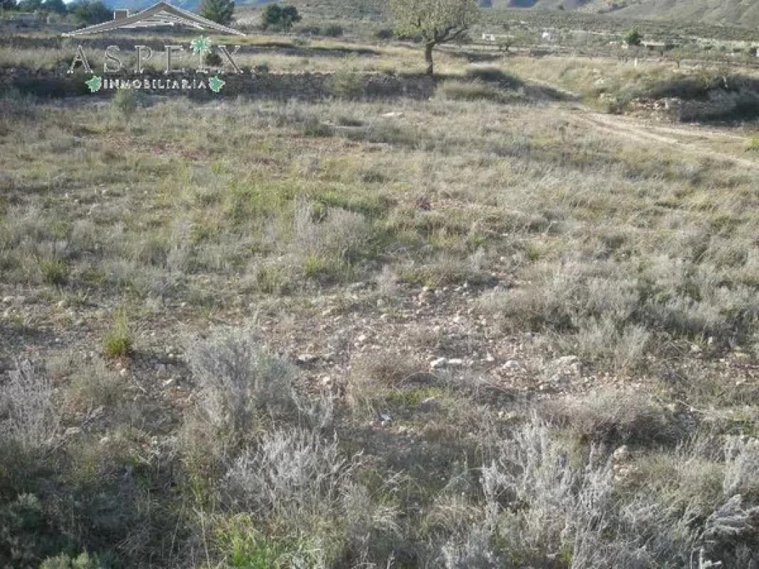 Terreno en venta en Hondón de los Frailes, Alicante photo 2