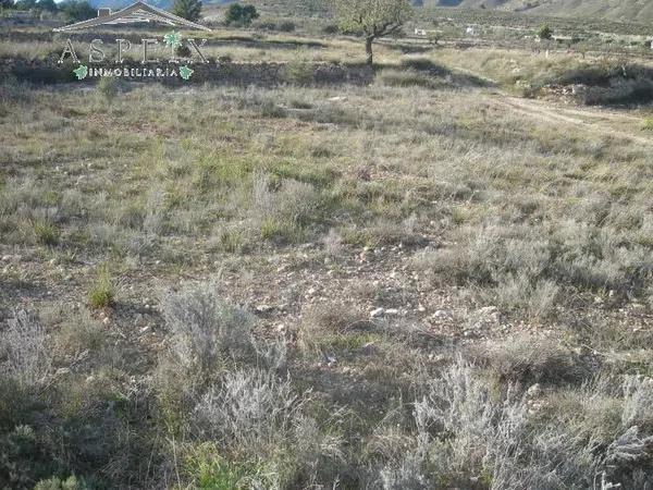 Terreno en Hondón de los Frailes thumbnail 2