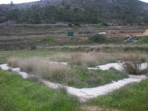 Terreno en Hondón de las Nieves photo 2