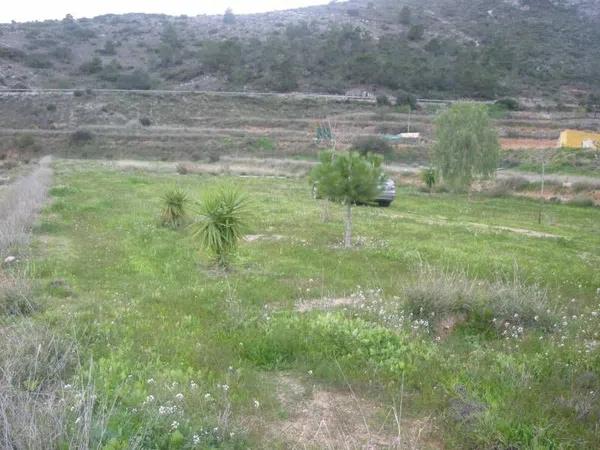 Terreno en Hondón de las Nieves photo 3