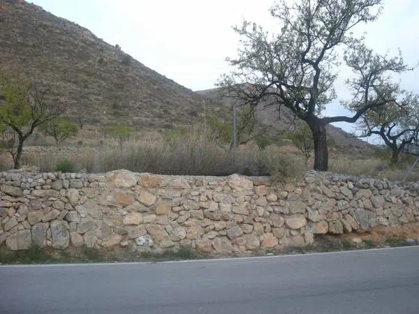Terreno en Hondón de las Nieves photo 4