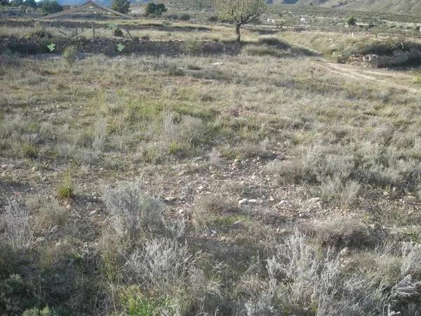 Terreno en Hondón de las Nieves photo 2