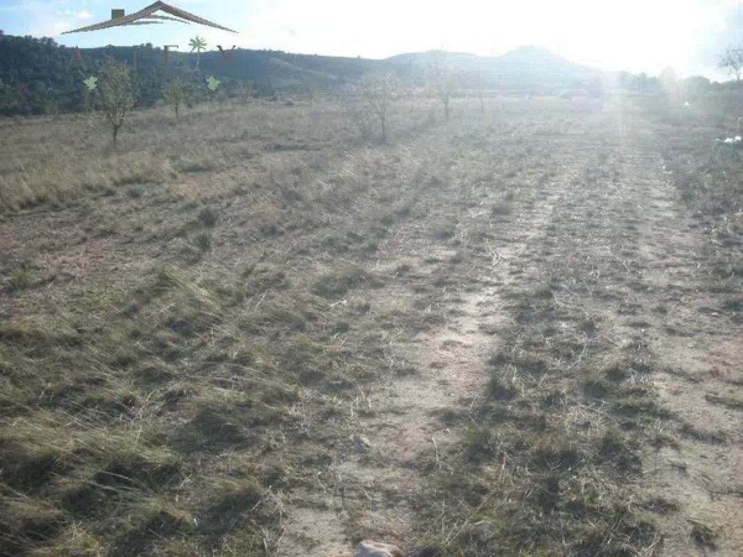 Участок земли на продажу в Хондон-де-лас-Ньевес, Аликанте photo 4