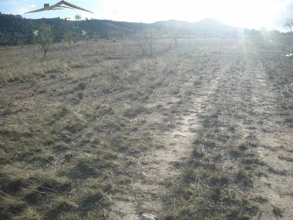 Terreno en Hondón de las Nieves photo 4