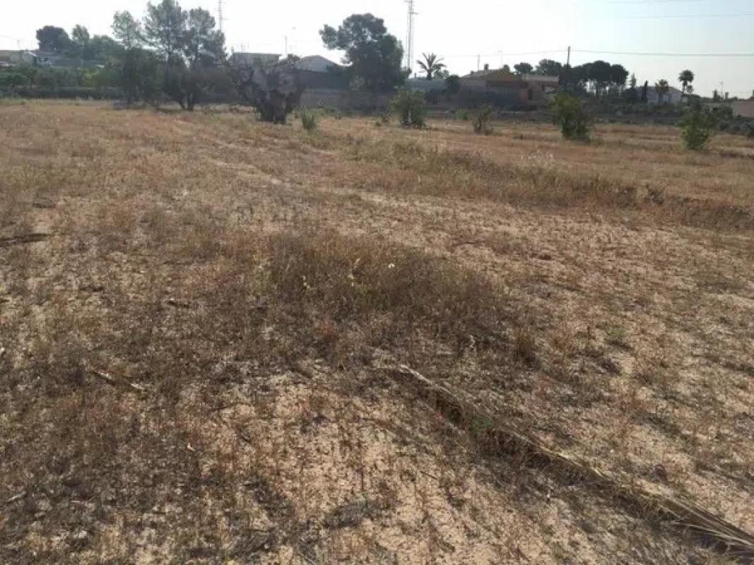 Land for sale in Elche / Elx, Alicante photo 3