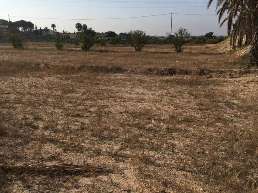 Land for sale in Elche / Elx, Alicante photo 5