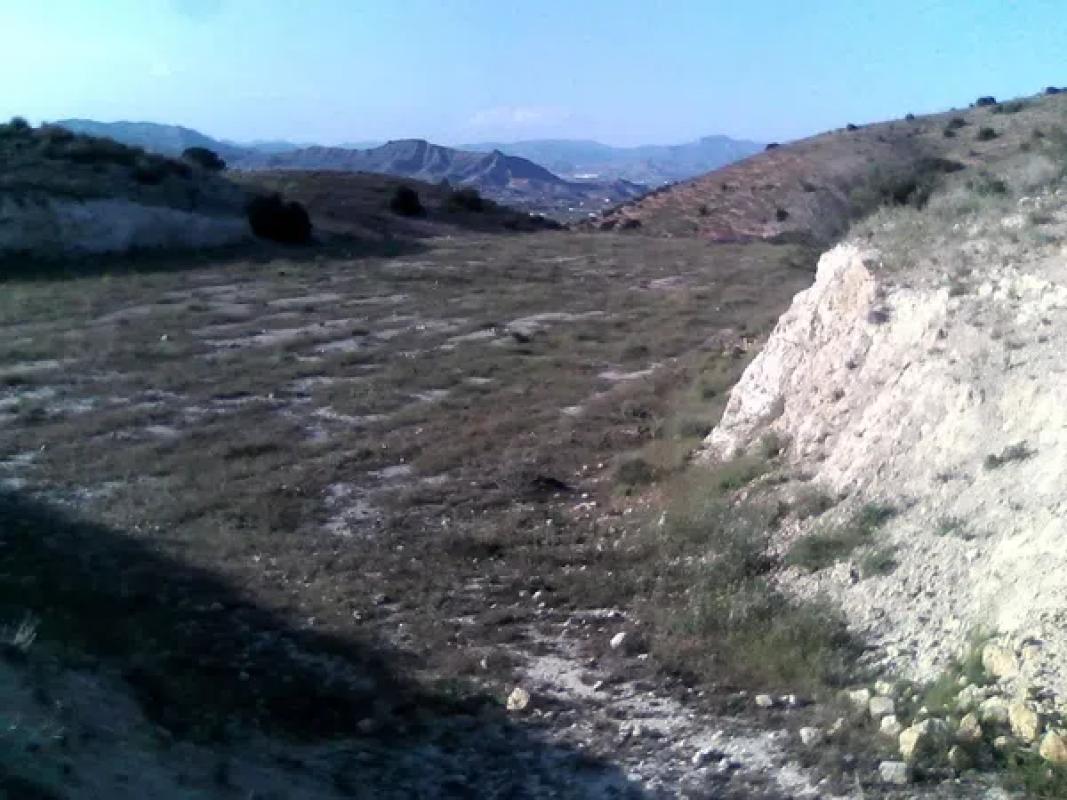 Land for sale in Aspe, Alicante photo 3