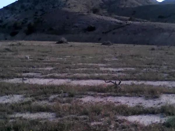 Terreno en plaza poligono 23, 105 photo 4