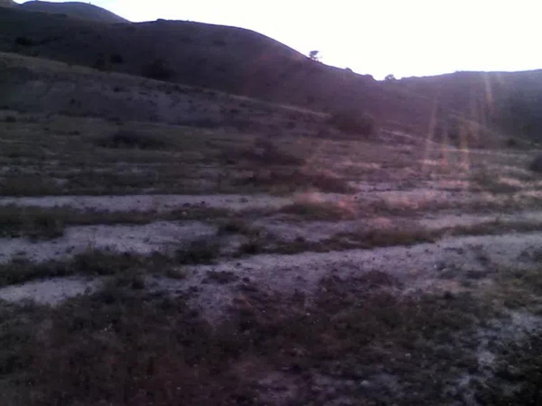 Land for sale in Aspe, Alicante photo 5