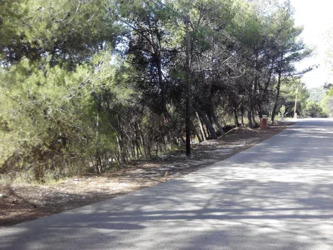 Terreno en venta en Alcoy / Alcoi, Alicante photo 2