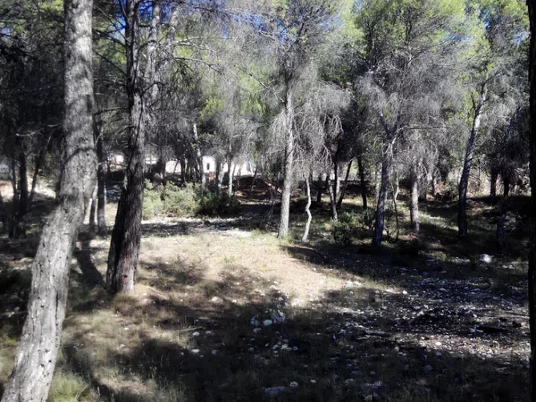 Terreno en venta en Alcoy / Alcoi, Alicante photo 3