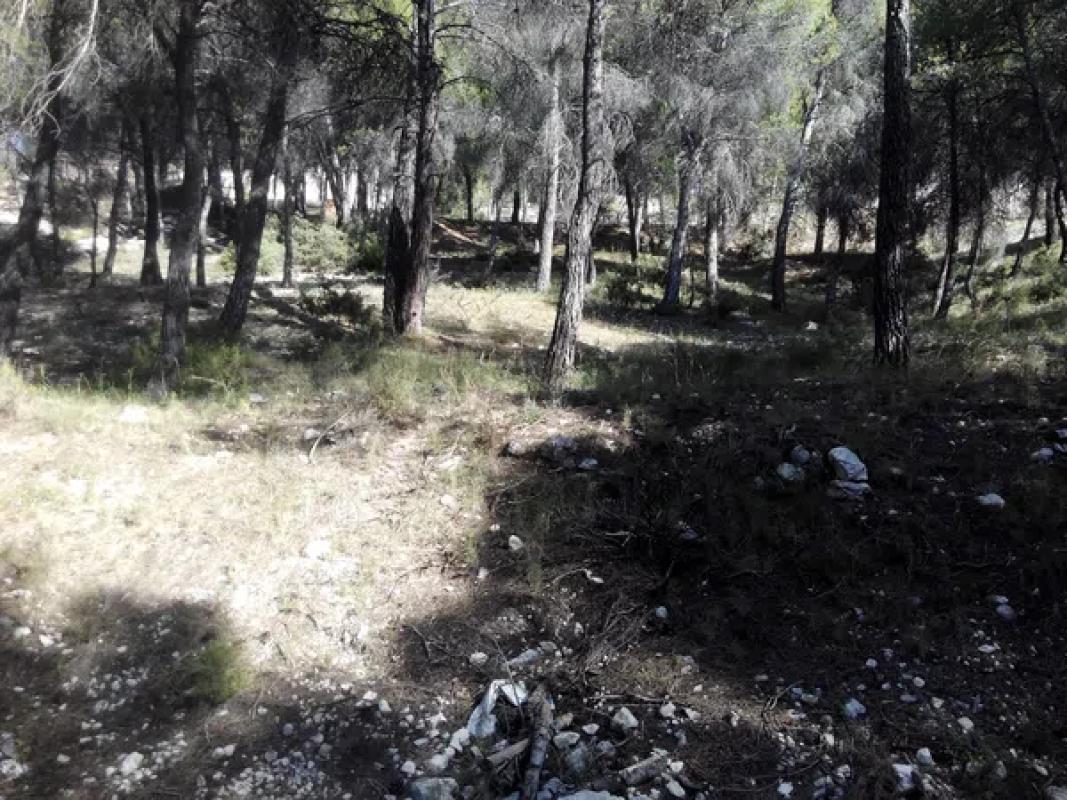 Terreno en venta en Alcoy / Alcoi, Alicante photo 5