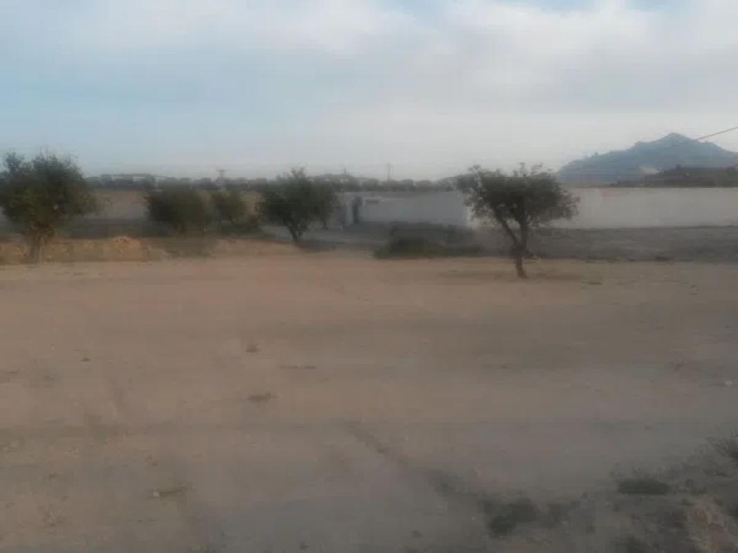 Land for sale in El Campello, Alicante photo 4