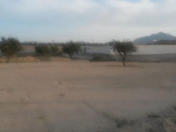 Terreno en calle Camamil la s/n photo 4