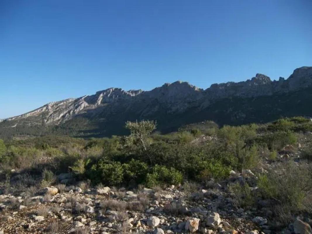 Terreno en venta en Jalón, Alicante photo 3