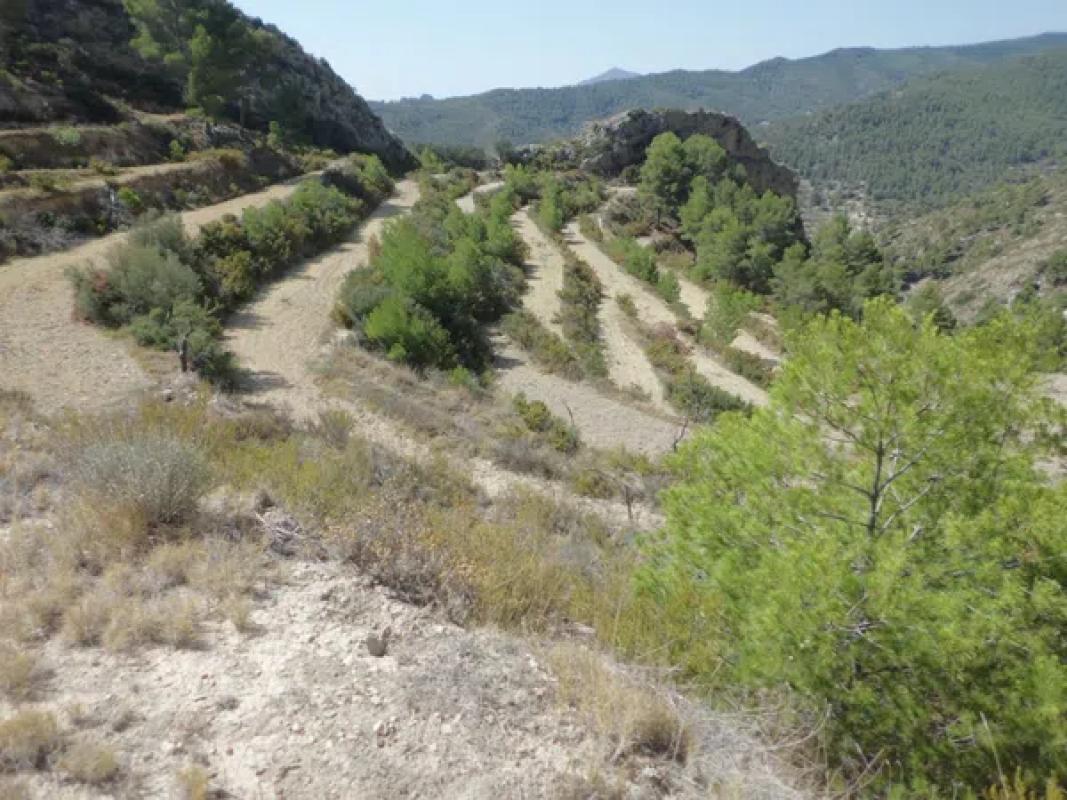 Terreno en venta en Sella, Alicante photo 1
