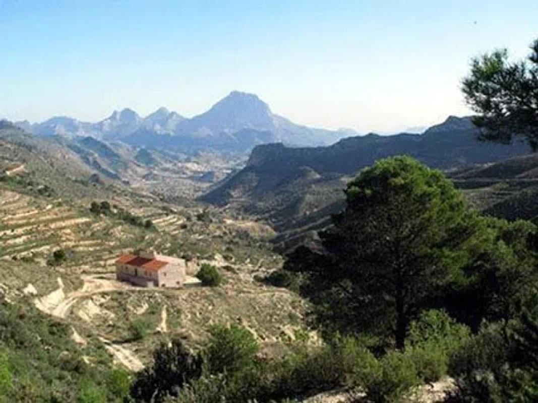 Land for sale in Relleu, Alicante photo 3