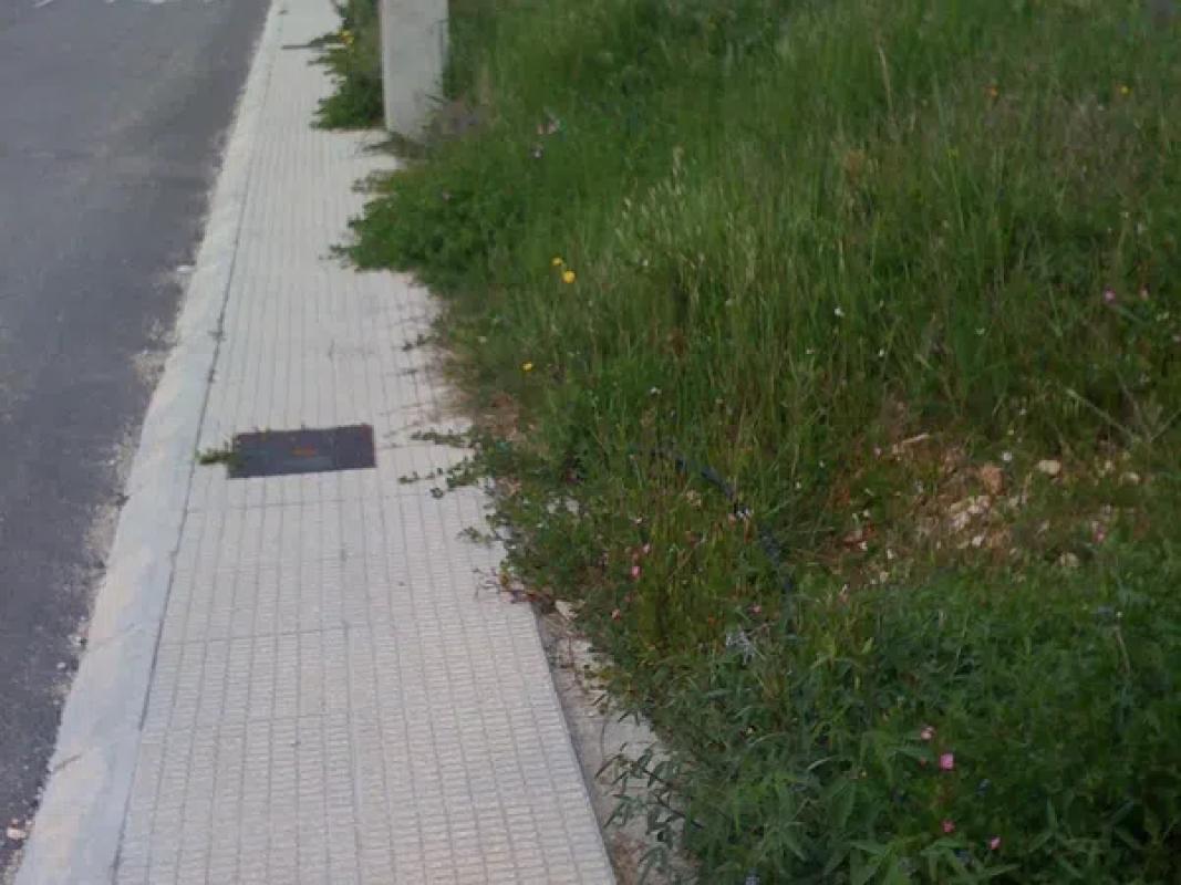 Terreno en venta en L'Lorcha/Orxa, Alicante photo 4