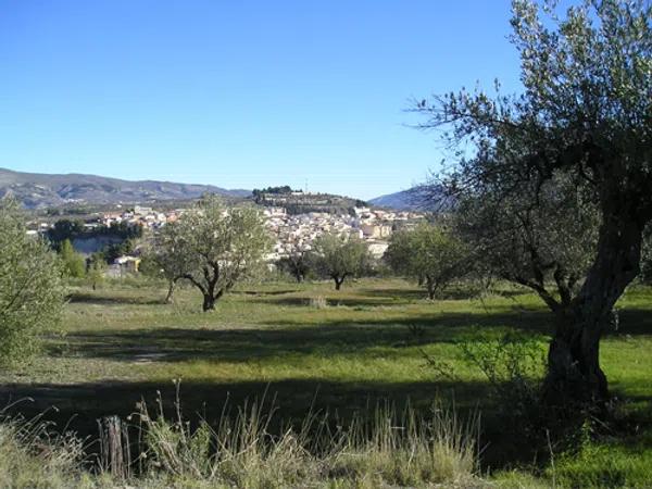 Terreno en Partida Petrona s/n photo 1