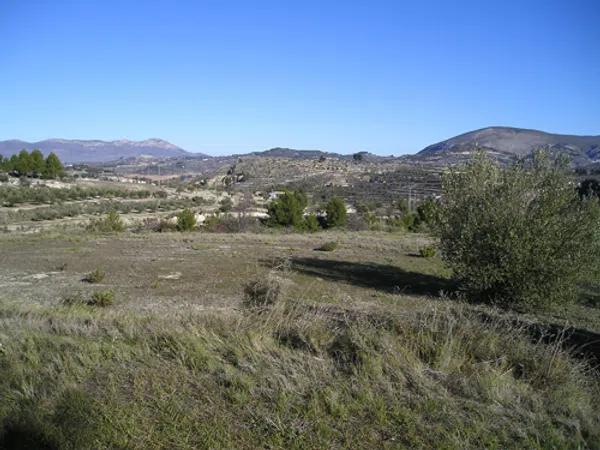 Terreno en Partida Petrona s/n photo 2