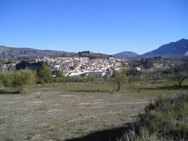 Terreno en Partida Petrona s/n photo 4