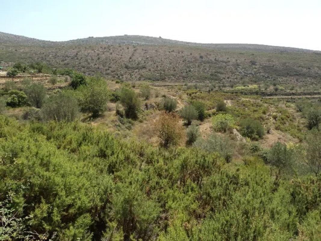 Land for sale in Llíber, Alicante photo 1