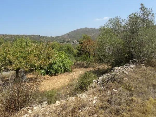 Terreno en Marnes, km 5 photo 2