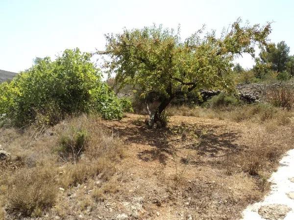 Terreno en Marnes, km 5 photo 3