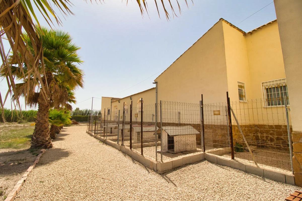 Properties for sale and rent in Spain photo 4