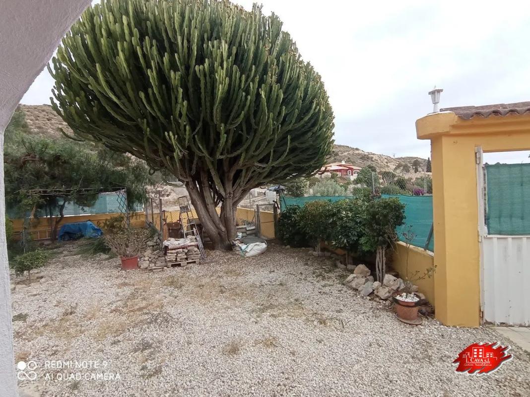 Propiedades en venta y alquiler en España photo 2