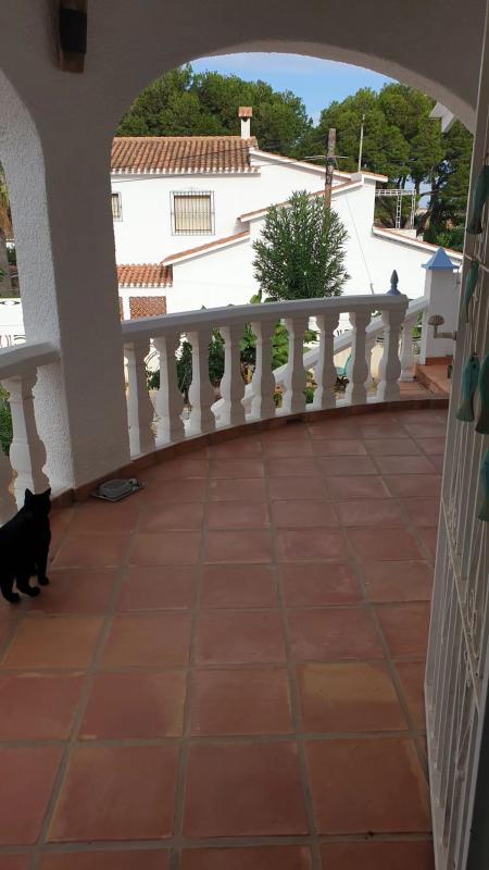 Properties for sale and rent in Spain photo 2