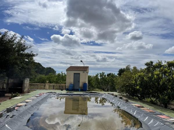 Chalet independiente en venta en , Crevillente photo 3
