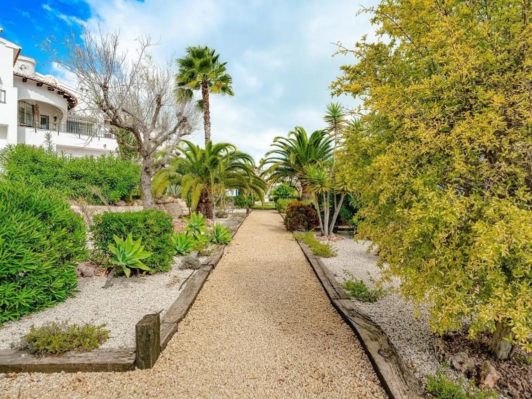 Properties for sale and rent in Spain photo 3
