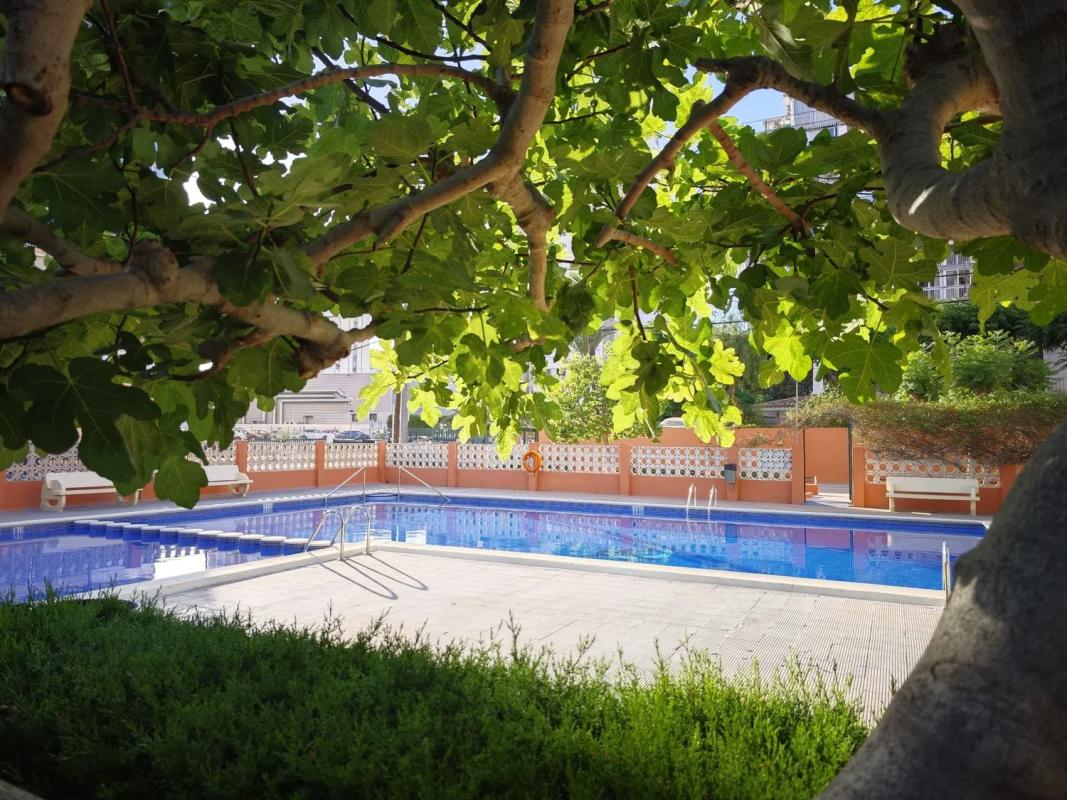 Sale of studio in Calle Invierno, Benidorm photo 1