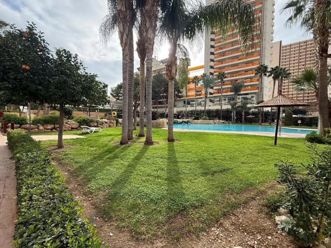 Venta de piso en Barrio Zona Rincón Bajo, Benidorm
photo 3