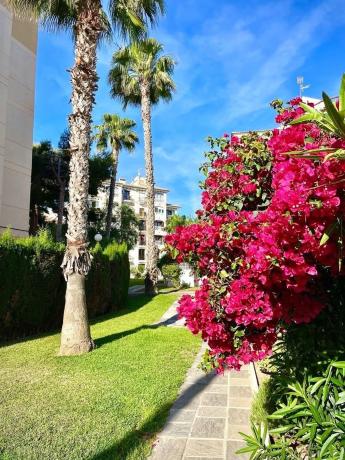 Ático en venta en  Avenida de Europa, 10, Torrevieja photo 3