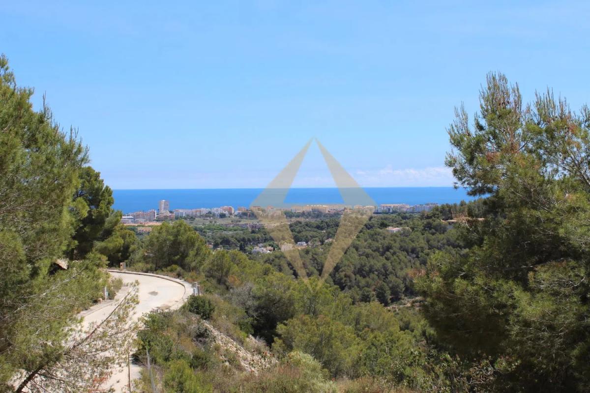 Properties for sale and rent in Spain photo 4