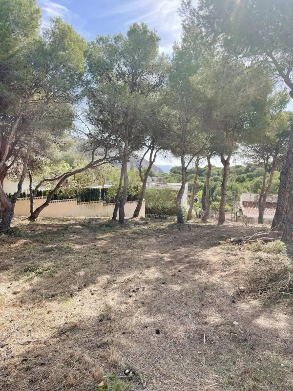 Nowa nieruchomość Portet Vila w Moraira photo 5