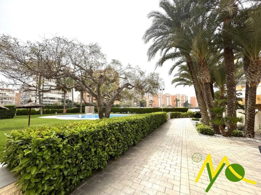 Venta de piso en Avenida de Niza, Alicante / Alacant
 photo 3