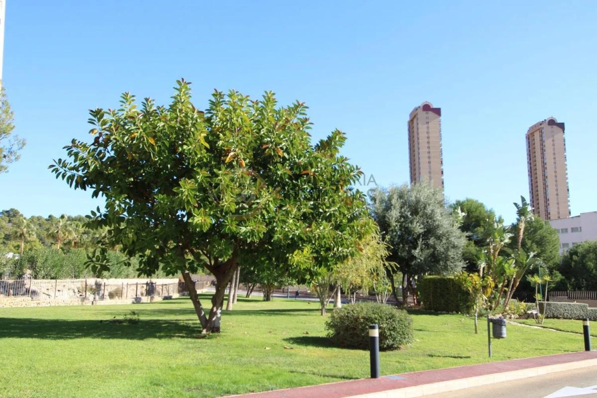 Venta de piso en Pueblo Poniente, Benidorm
photo 5